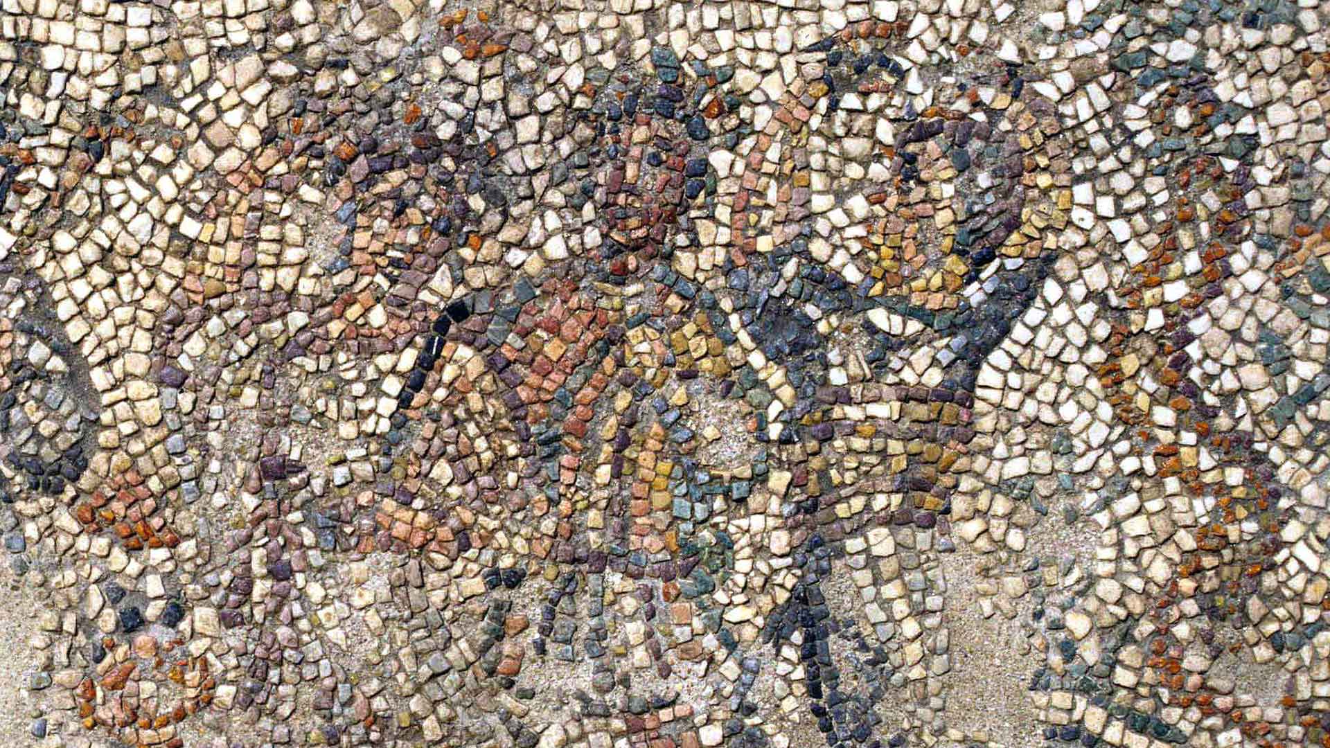 Dettaglio di uno dei mosaici